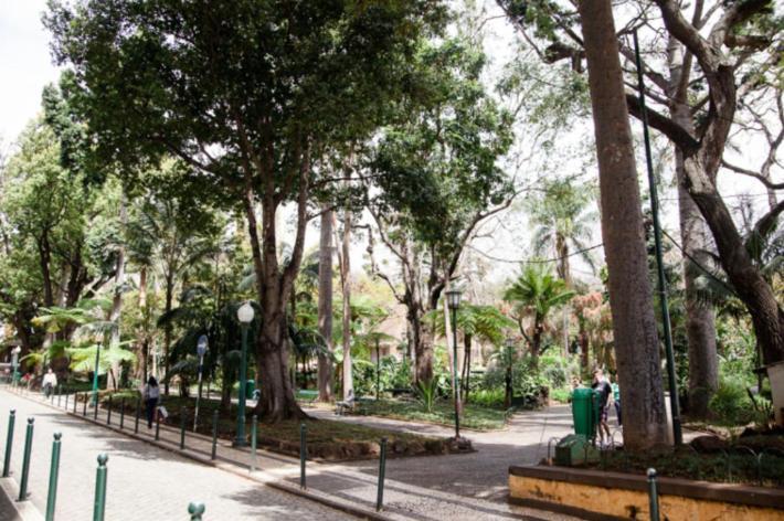 Central Funchal Apartment - Garden - Free Parking & Ac Funchal (Madeira) Exterior foto