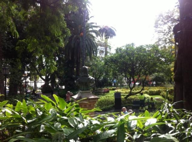 Central Funchal Apartment - Garden - Free Parking & Ac Funchal (Madeira) Exterior foto